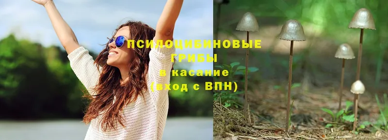 Псилоцибиновые грибы GOLDEN TEACHER  купить наркоту  OMG ССЫЛКА  Калининец 